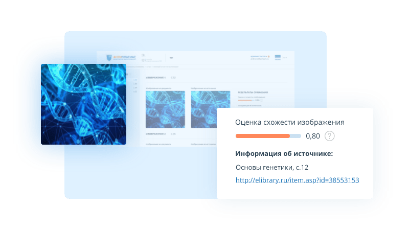 Поиск изображений